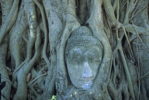 Roots, Buddha head ingrown in tree, Wat Mahatat, Ayutthaya, Thailand, December 2002, vintage, retro, old, historical