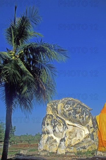 Palm tree, statue of the reclining Buddha, Ayutthaya, Thailand, December 2002, vintage, retro, old, historic