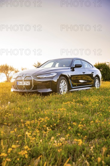 A black car is parked on a flowery meadow in warm evening light, BMW i7, Deer E-Carsharing, Calw, Germany