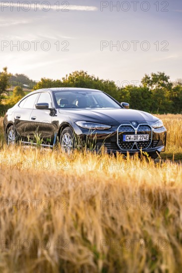 Black electric car in a cornfield at sunset, surrounded by a golden evening mood, BMW i7 electric car, Deer e-Carsharing, Calw, Germany