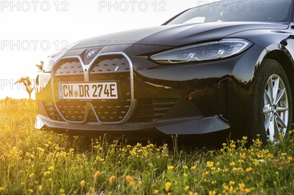 Front view of a black car on a blooming meadow at sunset, BMW i7 electric car, Deer e-Carsharing, Calw, Germany