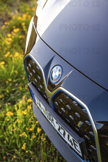 Close-up of the front of a car with visible brand logo on a flowery meadow, BMW i7 electric car, Deer e-Carsharing, Calw, Germany