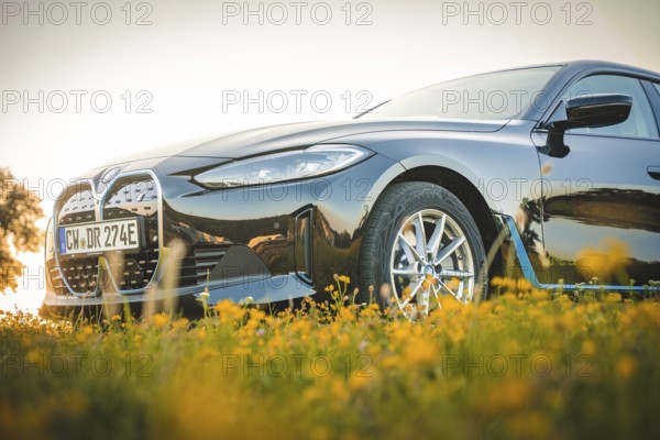 Low viewing angle of a black BMW on a blooming meadow, BMW i7 electric car, Deer e-Carsharing, Calw, Germany