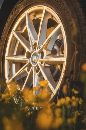 Close-up of a car rim surrounded by yellow flowers, BMW i7 electric car, Deer e-Carsharing, Calw, Germany