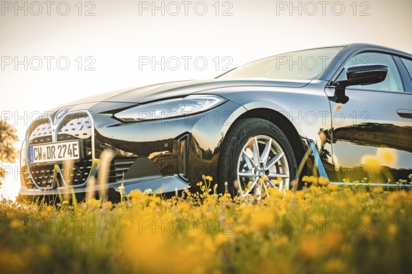Black BMW deep on blooming meadow at sunset, BMW i7 electric car, Deer e-Carsharing, Calw, Germany