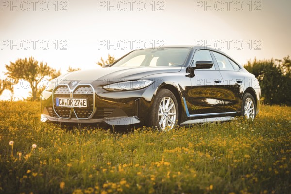 Black BMW on a blooming meadow at sunset, BMW i7 electric car, Deer e-Carsharing, Calw, Germany