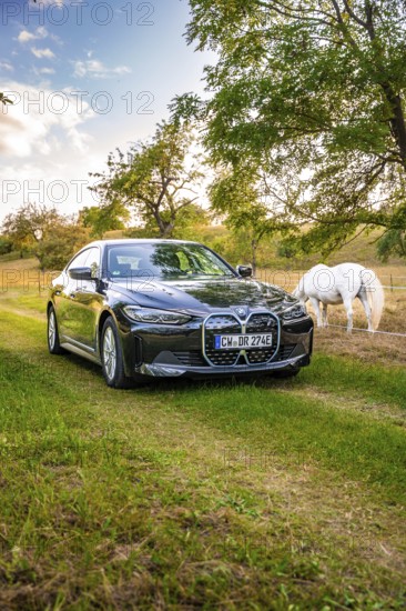 Black electric car on a green field next to a horse, atmospheric evening sun through the trees, BMW i7 electric car, deer e-car sharing, Calw, Germany