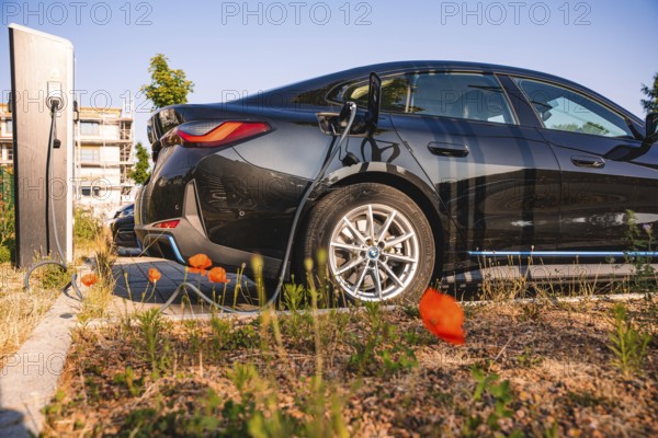 Black electric car charges at a station surrounded by poppies and summer atmosphere, BMW i7 electric car, Deer e-Carsharing, Calw, Germany