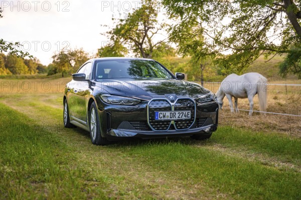Black electric car standing in a meadow next to a white horse, trees in the background at sunset, BMW i7 electric car, Deer e-Carsharing, Calw, Germany