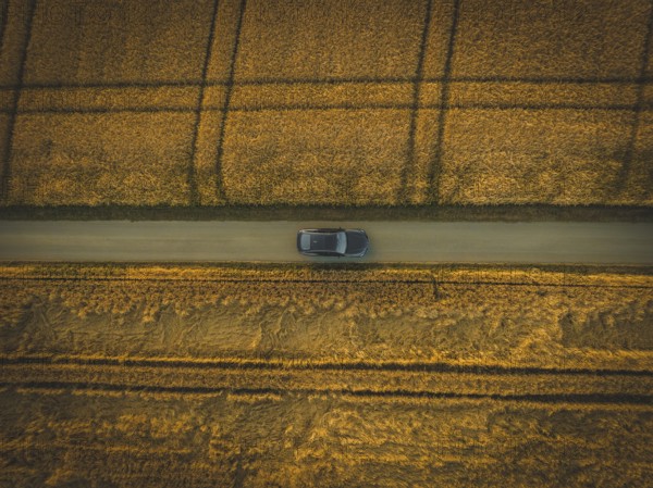 Top view of a car driving on a narrow path between golden fields in quiet countryside, BMW i7 electric car, Deer e-Carsharing, Calw, Germany
