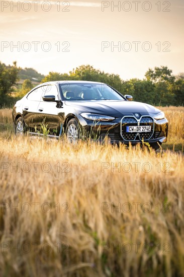 BMW in the middle of a yellow field at dusk, BMW i7 electric car, Deer e-Carsharing, Calw, Germany