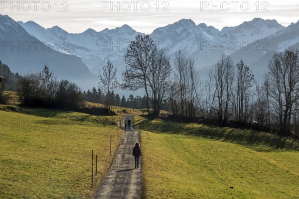 Hikers near Reichenbach, behind mountains of the Allgäu Alps, near Oberstdorf, Oberallgäu, Allgäu, Bavaria, Germany