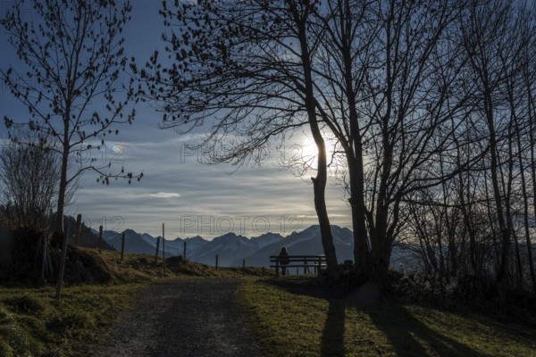Hiker sitting on bench under bare trees, Reichenbach, back light, mountains of the Allgäu Alps, Oberstdorf, Oberallgäu, Allgäu, Bavaria, Germany
