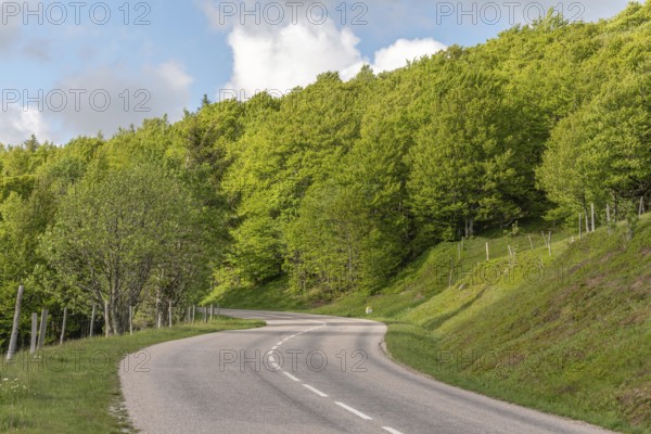 The road runs between trees and green hills. The sky is partly cloudy. It is a clear and bright day. Vehicles can travel on this road. Route des Cretes, Vosges, France