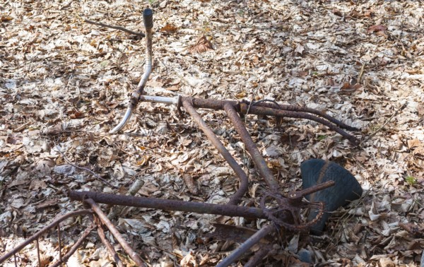 Destroyed, rusty bicycle wreck in the forest, broken Dutch bike, old bicycle lying damaged on the forest floor covered with leaves, weathered wreck, forgotten, rusted, defective, stolen and broken wheel disposed of as trash, individual parts, frame, handlebars and saddle, bicycle frame, waste, scrap, scrap, scrap, scrap, scrap metal, demolished, vandalism, unauthorised waste disposal in nature, leaves, autumn leaves, autumn, decline, Lüneburg district, Lower Saxony, Germany
