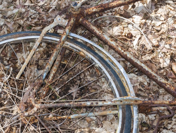 Destroyed, rusty bicycle wreck in the forest, broken Dutch bike, old bicycle lying damaged on the forest floor covered with leaves, weathered wreck, forgotten, rusted, defective, stolen and broken wheel disposed of as trash, rear wheel and frame, bicycle frame, trash, scrap, scrap tire, decline, scrap metal, demolished, vandalism, illicit waste Disposal in nature, leaves, autumn, decline, Lüneburg district, Lower Saxony, Germany