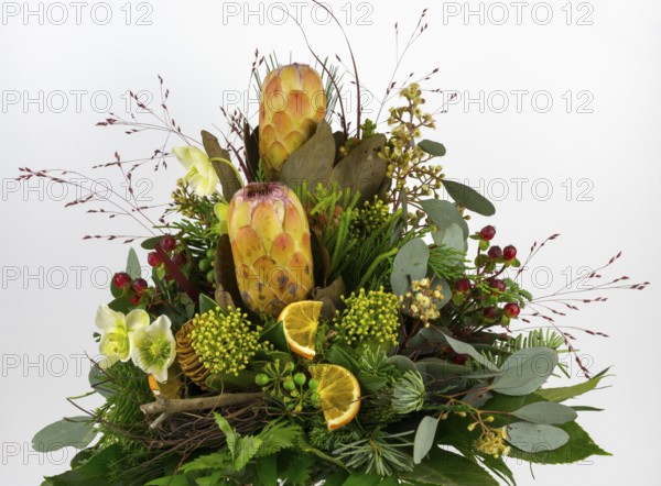 Wide exotic flower arrangement with protea, Christmas rose and berries, decorative and opulent