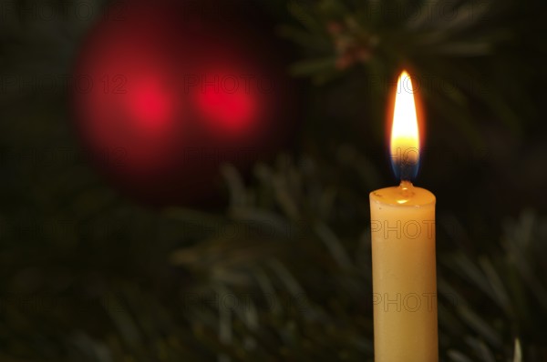 Interior view, close-up, burning candle, Christmas decorations, Christmas tree, Stuttgart, Baden-Württemberg, Germany