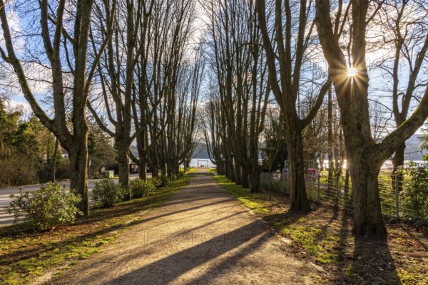 Winter at Lake Baldeney in Essen, Strandbad boat stop, closed in winter, tree-lined avenue leading to the lakeside path, sunny, cold, North Rhine-Westphalia, Germany