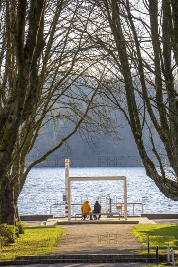 Winter at Lake Baldeney in Essen, Strandbad boat stop, closed in winter, tree-lined avenue leading to the lakeside path, sunny, cold, North Rhine-Westphalia, Germany