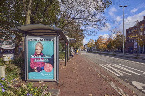 Bus stop Andreas-Gayk-Straße C, bus lane, bus shelters, advertising poster, advertisement NAH.SH The public transport, lantern, road, lane marking taxi, trees, autumn leaves, flower bed, blue sky, cumulus clouds, Andreas-Gayk-Straße, Kiel, state capital, district-free city, Schleswig-Holstein, Germany