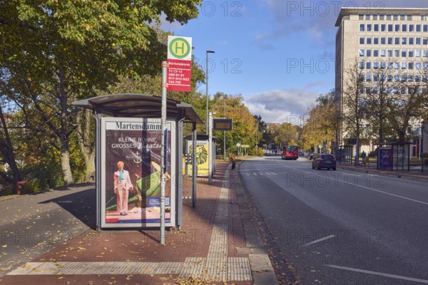 Martensdamm bus stop, public transport, Kieler Volksbank eG - Kompetenzcenter am Martensdamm, commercial building, high-rise building, modern architecture, trees, autumn leaves, blue sky, cumulus clouds, Martensdamm road, Kiel, state capital, district-free city, Schleswig-Holstein, Germany
