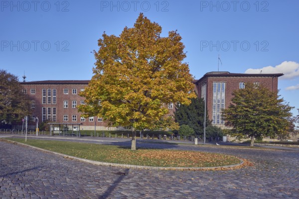 Norway maple (Acer platanoides), brick building, Ministry of Finance, street, central island, bus stop Reventloubrücke, cobblestone pavement, trees with autumn leaves, lawn, blue sky, cumulus clouds, Reventloubrücke, Reventlouallee, Kiel, state capital, independent city, Schleswig-Holstein, Germany