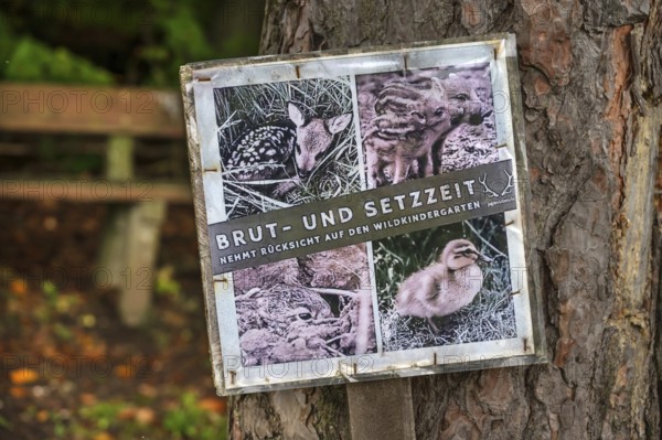 Information sign on the edge of the forest about the wildlife to be protected, Franconia, Bavaria, Germany