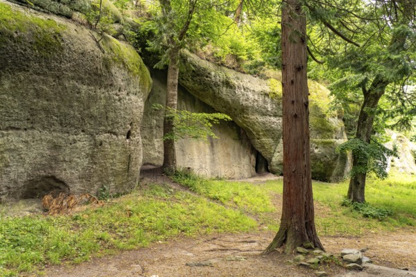 The Knight's Gorge in Oybin, Zittau Mountains, Upper Lusatia, Saxony, Germany