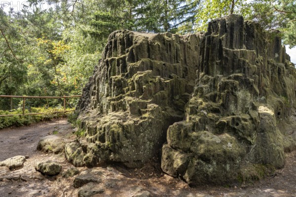 Organ rock formation in the Mühlsteinbrüche hiking area near Jonsdorf in the Zittau Mountains, Upper Lusatia, Saxony, Germany
