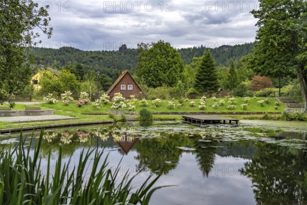 Goldbach pond in the Oybin spa park, Zittau Mountains, Upper Lusatia, Saxony, Germany