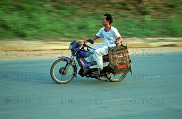 Man on moped holding birdhouses, Krabi, Thailand, December 2002, vintage, retro, old, historic