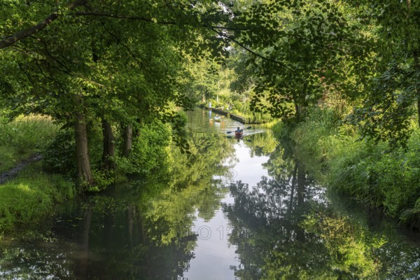Canal or Spreewaldfließ in the Spreewald near Spreewalddorf Lehde, Lübbenau/Spreewald, Brandenburg, Germany