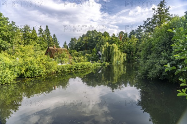 Canal or Spreewaldfließ in the Spreewald near Lübbenau/Spreewald, Brandenburg, Germany