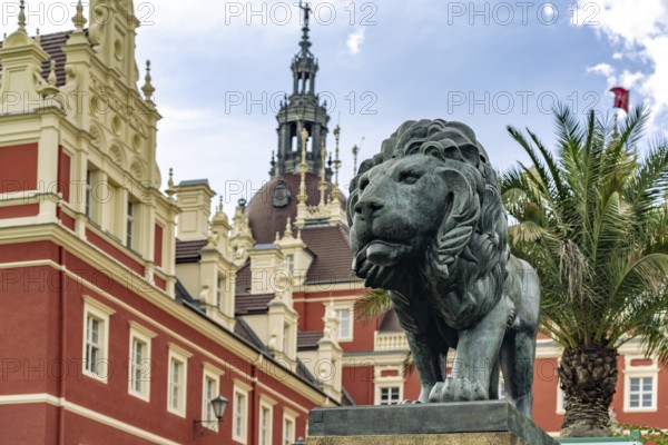 Lion in front of Muskau Castle in the UNESCO World Heritage Site Muskauer Park or Park Muzakowski in Bad Muskau, Upper Lusatia, Saxony, Germany