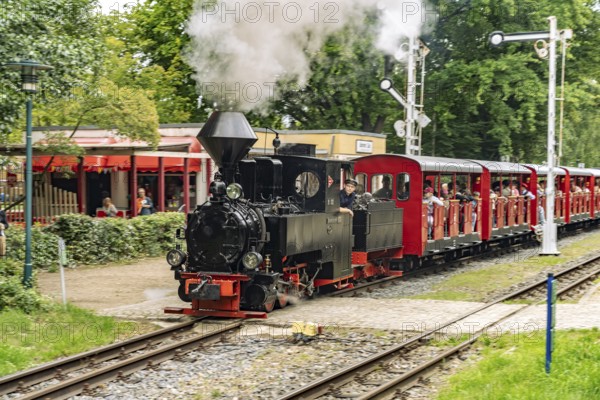Steam locomotive 99 3301 Count Arnim in Branitzer Park, landscape park created in 1846 by Prince Hermann von Pückler-Muskau in Branitz, Cottbus, Spree-Neisse district, Brandenburg, Germany