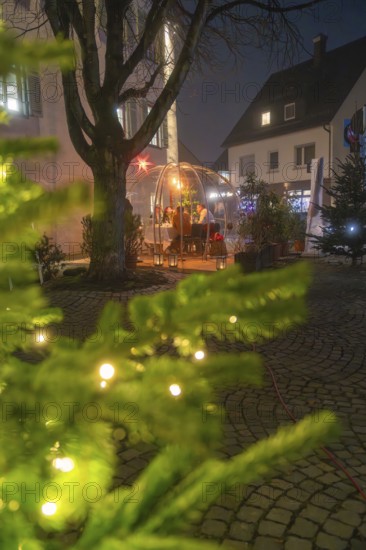 An illuminated dome at night behind a blue-illuminated tree, surrounded by plants and Christmas decorations, Gastro Bubbles, Sindelfingen, Germany