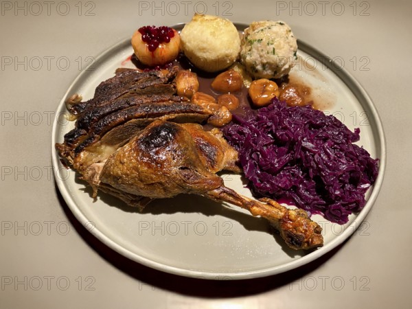 Plate with goose leg, goose breast, red cabbage, red cabbage, marenen, bread dumplings, raw potato dumplings, food, Stuttgart, Baden-Württemberg, Germany