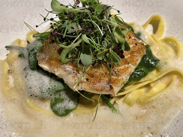 Cod fillet on tagliatelle, noodles, cress, white wine foam, food, Stuttgart, Baden-Württemberg, Germany