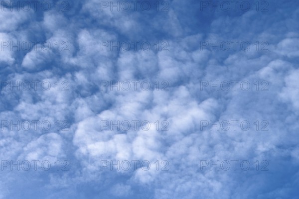 Medium-height white clouds of Altocumulus in blue sky, international