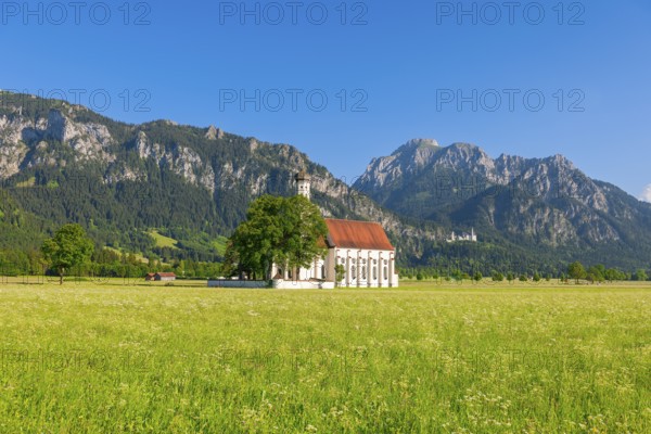 St. Coloman pilgrimage church on green meadow in front of impressive mountain scenery and blue sky, Schwangau near Füssen, Ostallgäu, Allgäu, Bavaria, Germany