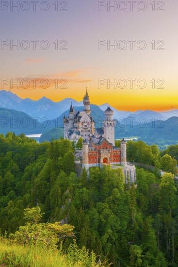Impressive Neuschwanstein Castle nestled in lush nature against a backdrop of bright evening sky, Schwangau near Füssen, Ostallgäu, Allgäu, Bavaria, Germany