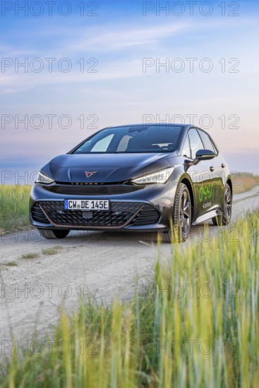 A Cupra vehicle under a wide sunset sky on a rural path surrounded by green fields, Cupra electric car, e-car sharing, Calw, Germany