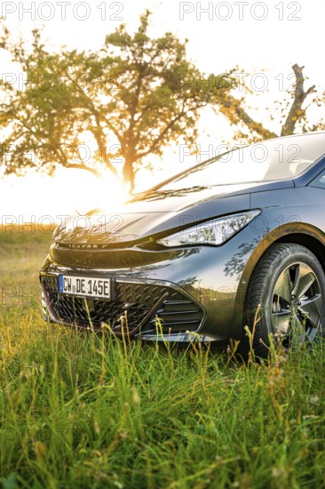 Car on a green field at sunset under trees, electric car Cupra, e-car sharing, Calw, Germany