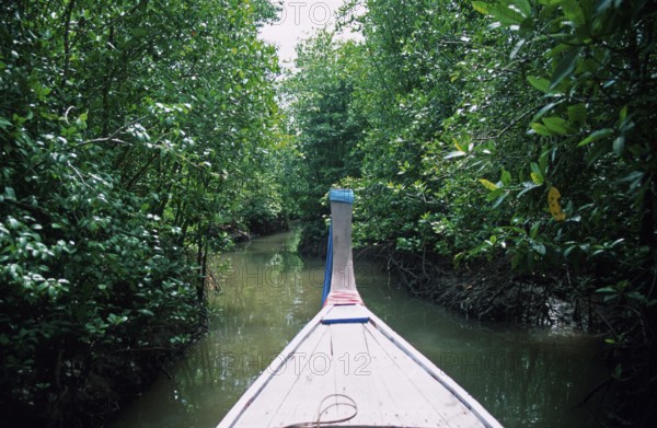 Boat trip through the mangrove jungle near Krabbi, two years in front of the tsunami, Thailand, December 2002, vintage, retro, old, historic