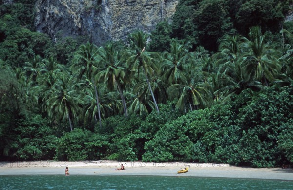 Palm trees, people, kayak, Ao Nang beach, two years in front of the tsunami, Krabi, Thailand, December 2002, vintage, retro, old, historic