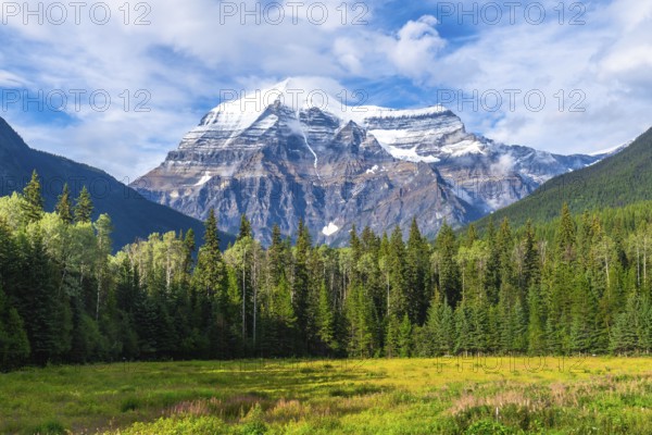 Majestic mount robson rises above a lush green forest and meadow, creating a breathtaking panorama of the canadian rockies in british columbia, canada, on a sunny day with scattered clouds