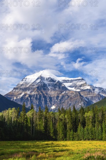 Majestic mount robson, the highest peak in the canadian rockies, towers over a lush meadow and coniferous forest, creating a breathtaking landscape in british columbia