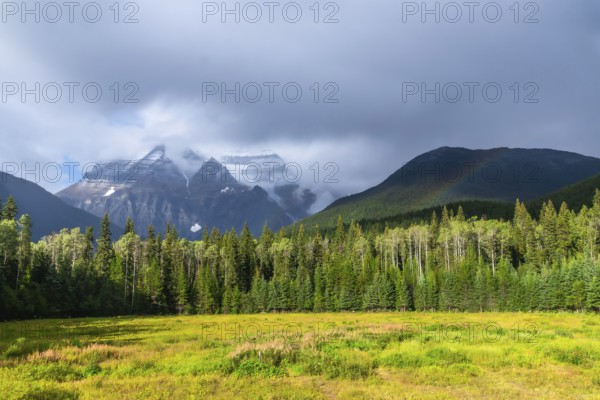 Mount robson, partially shrouded in clouds, towers majestically over a lush coniferous forest and vibrant meadow, creating a stunning landscape with a rainbow in british columbia, canada