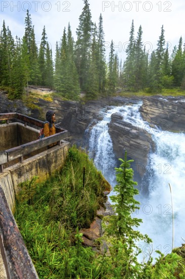 Hiker enjoying the breathtaking view of athabasca falls plunging into the canyon, surrounded by lush pine forest in jasper national park, a stunning natural wonder in the canadian rockies